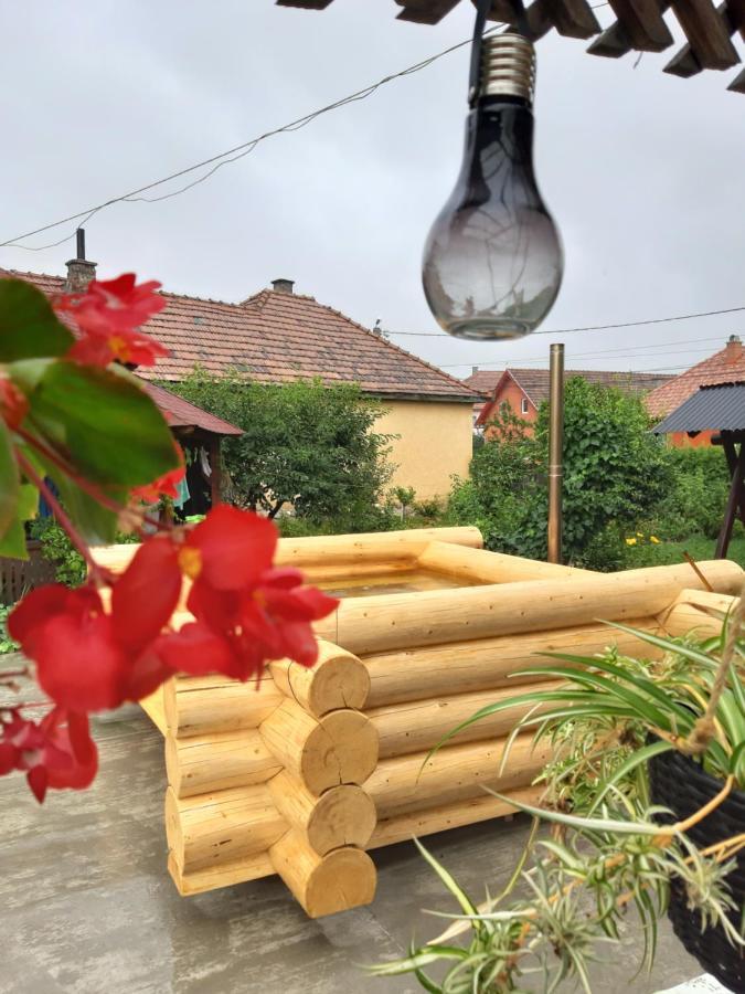 Becze Vanda Kulcsoshaz Lăzarea Exteriér fotografie