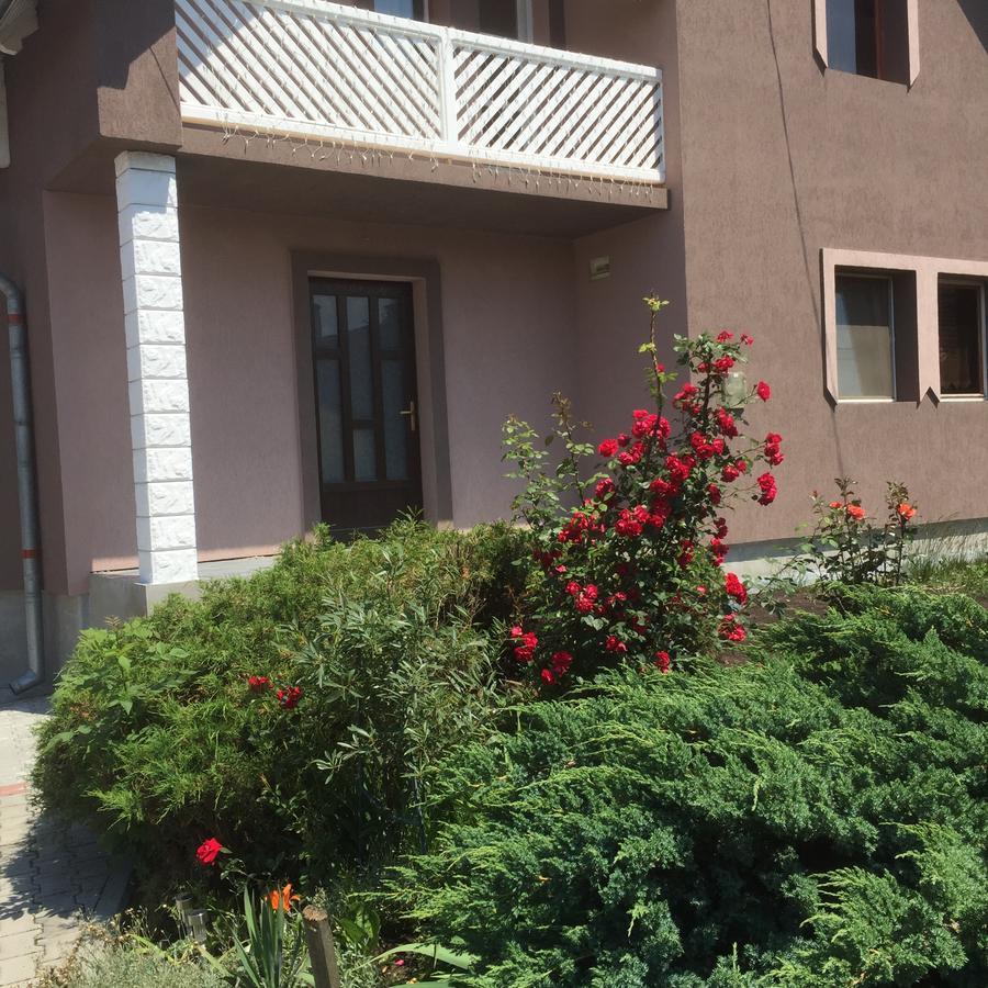 Becze Vanda Kulcsoshaz Lăzarea Exteriér fotografie